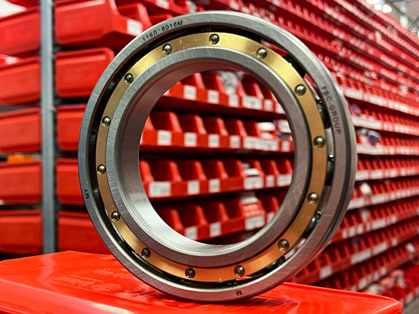 Подшипник 116Л (80х125х22) (6016M) FBC-GROUP