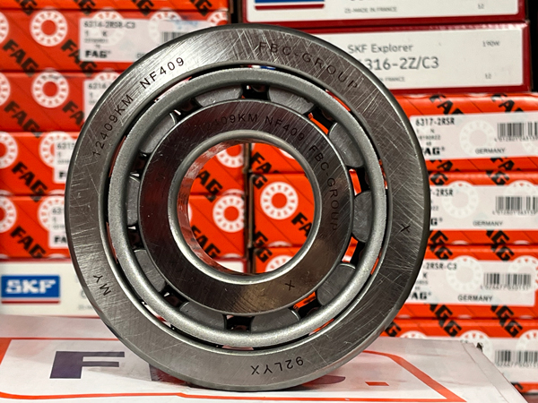 Подшипник 12409КМ (45*120*29) (NF409) FBC-GROUP