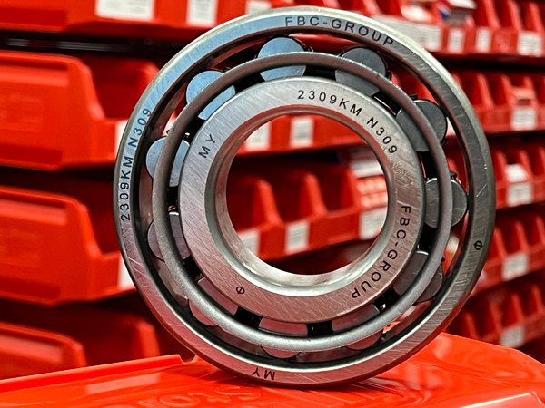 Подшипник 2309КМ (45х100х25) (N309) FBC-GROUP